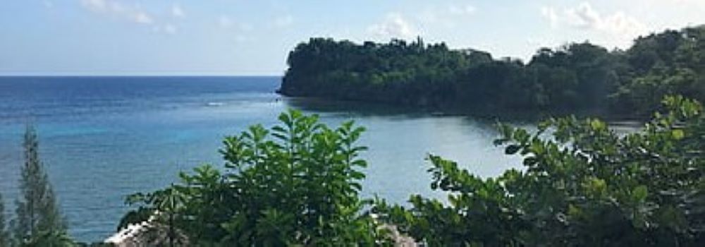 picture of caribbean sea in port antonio jamaica
